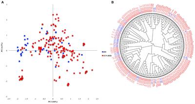 Molecular Characterization of 87 Functional Genes in Wheat Diversity Panel and Their Association With Phenotypes Under Well-Watered and Water-Limited Conditions